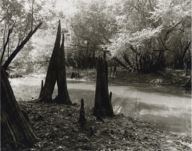 Nancy Marshall, Altamaha River, Georgia, 2010. Nancy Marshall, Altamaha River, Georgia, 2010.