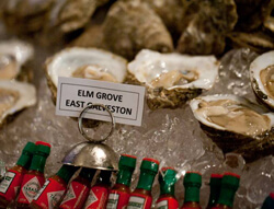 Kelly Yandell, Elm Grove oysters, Galveston, Texas, 2011. Kelly Yandell, Elm Grove oysters, Galveston, Texas, 2011.
