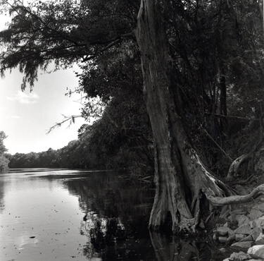 Nancy Marshall, Altamaha River, Georgia, 2010. Nancy Marshall, Altamaha River, Georgia, 2010.