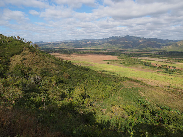 Charles D. Thompson, Jr., Fallow, newly plowed, and re-growing sugarcane fields, east of Trinidad, Cuba, 2010. Charles D. Thompson, Jr., Fallow, newly plowed, and re-growing sugarcane fields, east of Trinidad, Cuba, 2010.