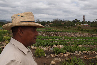 Charles D. Thompson, Jr., Pedro Rodriguez Pérez, Vice-President of the Organoponico Manaca Iznaga, looking over the vegetables he and nine other farmers grow for a living. In the background is the infamous tower in the Valle de los Ingeneros where slave owners overlooked their workers in fields, Trinidad, Cuba, December 2010.