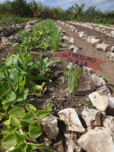 Charles D. Thompson, Jr., Community plot with 10 members named Charles D. Thompson, Jr., Community plot with 10 members named
