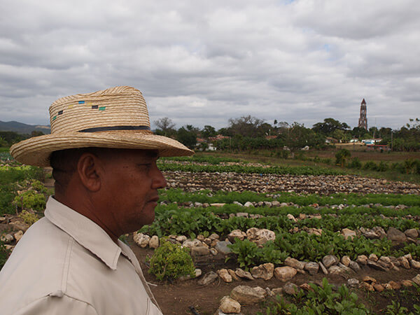 Charles D. Thompson, Jr., Pedro Rodriguez Pérez, Vice-President of the Organoponico Manaca Iznaga, looking over the vegetables he and nine other farmers grow for a living. In the background is the infamous tower in the Valle de los Ingeneros where slave owners overlooked their workers in fields. Trinidad, Cuba, December 2010. Charles D. Thompson, Jr., Pedro Rodriguez Pérez, Vice-President of the Organoponico Manaca Iznaga, looking over the vegetables he and nine other farmers grow for a living. In the background is the infamous tower in the Valle de los Ingeneros where slave owners overlooked their workers in fields. Trinidad, Cuba, December 2010.