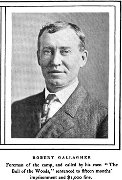Robert Gallagher. Alexander Irvine, "My Life in Peonage," Appleton's Magazine, June 1907, 646. Robert Gallagher. Alexander Irvine, "My Life in Peonage," Appleton's Magazine, June 1907, 646.