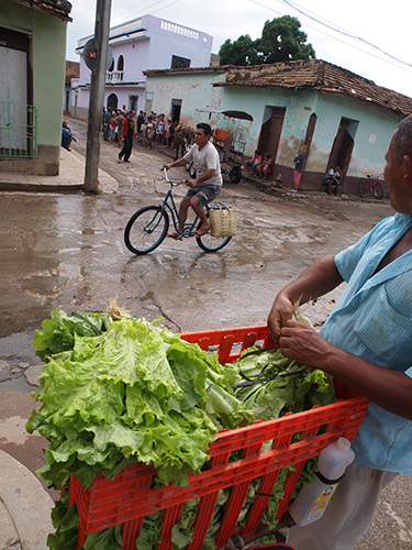 Charles D. Thompson, Jr., A lettuce grower in Trinidad looks at a milk rationing line where families must show ration cards to obtain their daily quota. Trinidad, Cuba, December 2010. Charles D. Thompson, Jr., A lettuce grower in Trinidad looks at a milk rationing line where families must show ration cards to obtain their daily quota. Trinidad, Cuba, December 2010.