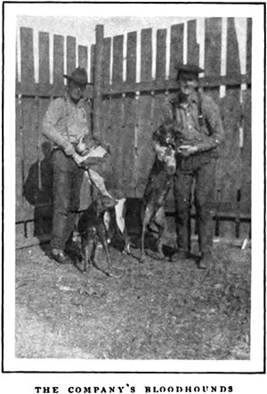 The company's bloodhounds, outside Lockhart, Alabama. Alexander Irvine, "My Life in Peonage," Appleton's Magazine, July 1907, 7. The company's bloodhounds, outside Lockhart, Alabama. Alexander Irvine, "My Life in Peonage," Appleton's Magazine, July 1907, 7.