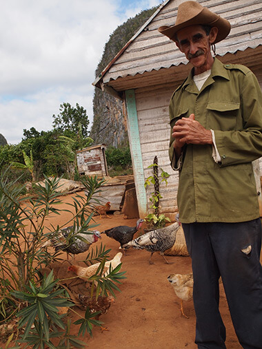Charles D. Thompson, Jr., Tobacco farmer with his chickens and turkeys. Viñales, Cuba, January 2011. Charles D. Thompson, Jr., Tobacco farmer with his chickens and turkeys. Viñales, Cuba, January 2011.
