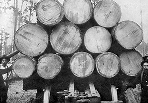A log train with cut, stacked timber, near Lockhart, Alabama. American Lumberman 1907, Part 1, January–June 1907, Forest History Society archive. A log train with cut, stacked timber, near Lockhart, Alabama. American Lumberman 1907, Part 1, January–June 1907, Forest History Society archive.