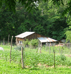 Crystal Bowne, Back-to-the-Land Ozarker Gardens, Newton County, Arkansas, 2010. Crystal Bowne, Back-to-the-Land Ozarker Gardens, Newton County, Arkansas, 2010.