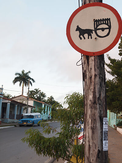 Charles D. Thompson, Jr., Early morning in Viñales, a sign depicting a common form of farm transport along with one of thousands of US vehicles from the 1950s still on the road thanks to Cuban ingenuity. Viñales, Cuba, January 2011. Charles D. Thompson, Jr., Early morning in Viñales, a sign depicting a common form of farm transport along with one of thousands of US vehicles from the 1950s still on the road thanks to Cuban ingenuity, Viñales, Cuba, January 2011.