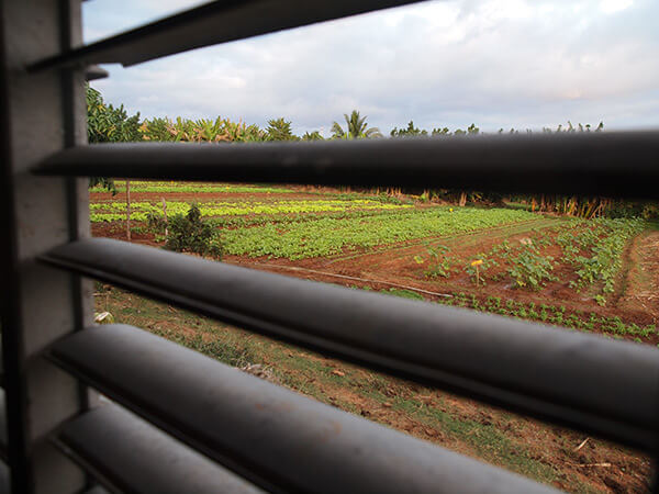 Charles D. Thompson, Jr., The view Tomás Pérez Ricardo, age 25, and his wife wake to each morning. Trinidad, Cuba, December 2010. Charles D. Thompson, Jr., The view Tomás Pérez Ricardo, age 25, and his wife wake to each morning. Trinidad, Cuba, December 2010.