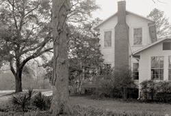 Nancy Marshall, East side of house, Andalusia, Spring 2007. Nancy Marshall, East side of house, Andalusia, Spring 2007.