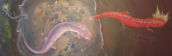 Detail from Nancy Lowe, Source, Species Icons exhibit, Schatten Gallery, Emory University, Atlanta, Georgia, 2009.