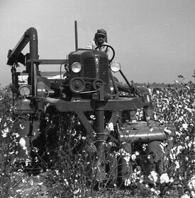 Marion Post Wolcott, Cotton picker in Clarksdale, Mississippi Delta, Mississippi, 1939.