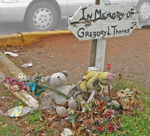 Tom Zarilli, Wilting plush toys, Atlanta, Georgia, 2006.