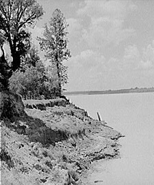 Marion Post Wolcott, Mississippi River near Perthshire, Mississippi Delta, 1940.