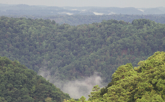 Mark Schmerling, Mists rise over the Paint CreekMark Schmerling, Mists rise over the Paint Creek Trail, Kanawha County, West Virginia, 2006. Mark Schmerling, Mists rise over the Paint Creek Trail, Kanawha County, West Virginia, 2006.