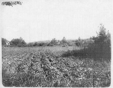 Looking West from Ponce de Leon Springs circa 1895 jpg image From the Healey Collection, courtesy the Atlanta-Fulton County Public Library Looking West from Ponce de Leon Springs circa 1895 jpg image From the Healey Collection, courtesy the Atlanta-Fulton County Public Library