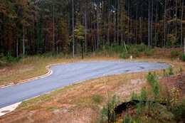 John Howard, In a far corner of a failing subdivision, a cul-de-sac becomes a wildlife refuge, Henry County, Georgia, November 2009. John Howard, In a far corner of a failing subdivision, a cul-de-sac becomes a wildlife refuge, Henry County, Georgia, November 2009.