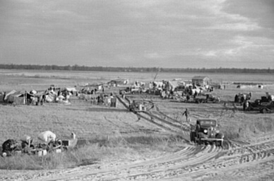 Arthur Rothstein, New Madrid spillway, where evicted sharecroppers were moved from highway, New Madrid County, Missouri, January 1939, FSA-OWI Collection, Library of Congress, LC-USF33- 002956-M4.