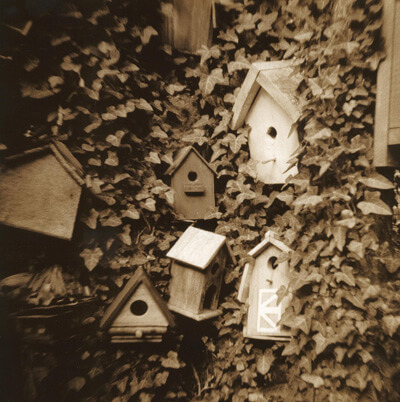 Rob McDonald, Lexington, Virginia. Rob McDonald, Lexington, Virginia.