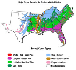 Major Forest Types in the Southern United States. Major Forest Types in the Southern United States.