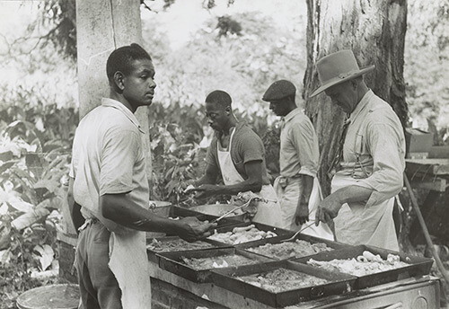 Marion Post Wolcott, Cooking a fried supper as a benefit picnic supper which is being given by St. Thomas church, near Bardstown, Kentucky, August 7, 1940. Library of Congress Prints and Photographs Division, FSA/OWI Collection, E 9026. Marion Post Wolcott, Cooking a fried supper as a benefit picnic supper which is being given by St. Thomas church, near Bardstown, Kentucky, August 7, 1940. Library of Congress Prints and Photographs Division, FSA/OWI Collection, E 9026.
