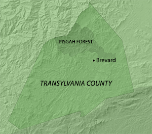 Location of the Pisgah Forest Precinct in Transylvania County, North Carolina. Map by Southern Spaces, 2014.