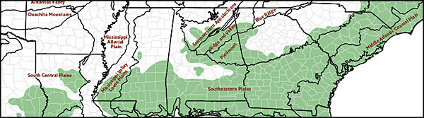 EPA ecoregions level III and historic range of longleaf pine, Map by Longleaf Alliance. Reproduced by permission of Longleaf Alliance.