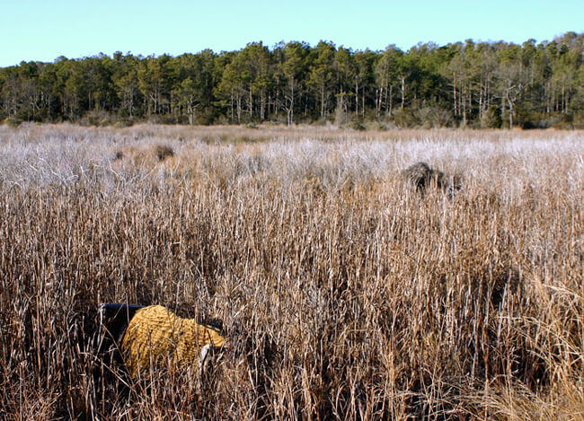 Christopher Reiger, Marsh love seat, Bull's Landing, Eastern shore of Virginia, 2005. Christopher Reiger, Marsh love seat, Bull's Landing, Eastern shore of Virginia, 2005.