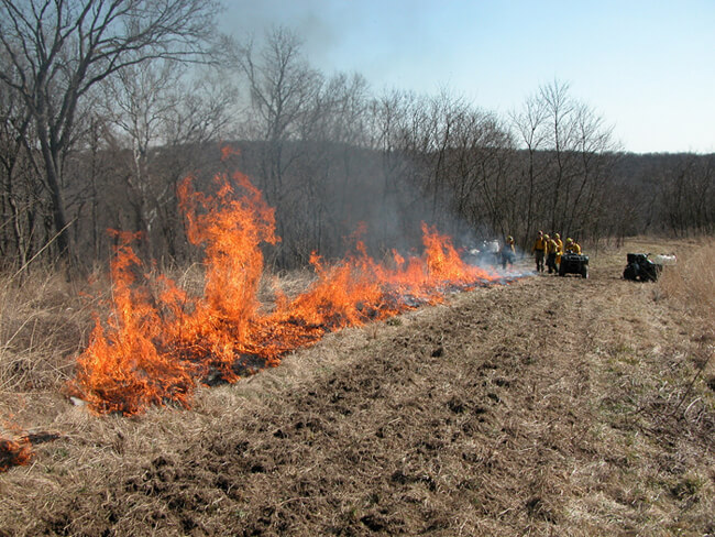Steve Bishop, Prescribed fire, Nicholasville, Kentucky, 2005.