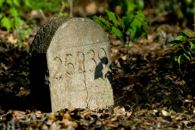 Thomas McKane, Just a number, Old Bryce Hospital Cemetery, Tuscaloosa, Alabama, 2007. Thomas McKane, Just a number, Old Bryce Hospital Cemetery, Tuscaloosa, Alabama, 2007.