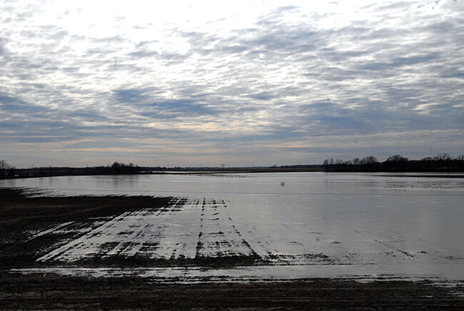 Kate Medley, Arkansas Delta, Brinkley, Arkansas, 2008. Kate Medley, Arkansas Delta, Brinkley, Arkansas, 2008.