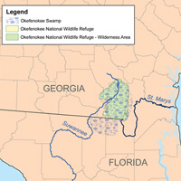 Karl Musser, Map of Okefenokee Swamp, 2007. Image courtesy of Wikimedia Commons.