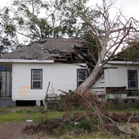 Tree in house near N. Rampart Street. Holy Cross, New Orleans, Louisiana, November 4, 2005. Photograph by Ian J. Cohn. © Ian J. Cohn. Tree in house near N. Rampart Street. Holy Cross, New Orleans, Louisiana, November 4, 2005. Photograph by Ian J. Cohn. © Ian J. Cohn.