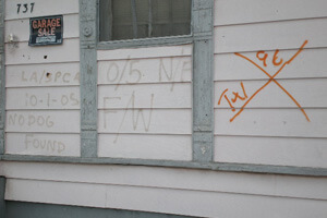 All creatures great and small, Bywater, New Orleans, Louisiana, May 24, 2008. Photograph by R. Joel Lowy. © R. Joel Lowy. All creatures great and small, Bywater, New Orleans, Louisiana, May 24, 2008. Photograph by R. Joel Lowy. © R. Joel Lowy.