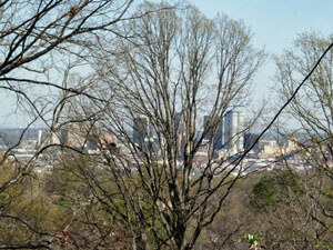 Birmingham skyline through the white oaks. Birmingham, Alabama, March 21, 2008. Photograph by Jon Smith. Birmingham skyline through the white oaks. Birmingham, Alabama, March 21, 2008. Photograph by Jon Smith.