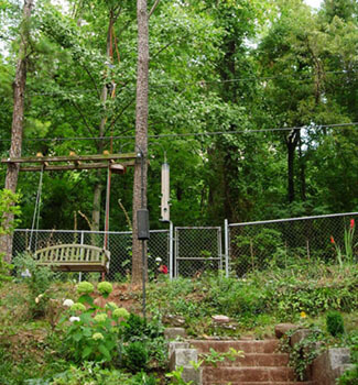 Workers clearing powerline easement, Hydrangea arborescens 'Annabelle' in foreground. Birmingham, Alabama, July 5, 2007. Photograph by Jon Smith. Workers clearing powerline easement, Hydrangea arborescens 'Annabelle' in foreground. Birmingham, Alabama, July 5, 2007. Photograph by Jon Smith.