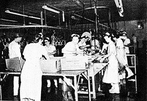 Image of poultry plant workers from Industrial Survey of Forest. Photograph by Mississippi Poultry Commission, 1963. Courtesy of Forest Public Library.