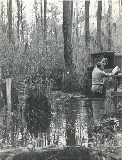 Mosquito collection, Emory University Field Station on Ichauway Plantation, ca. 1938-1945. United States Public Health Services Office of Malaria Control in War Areas, Melvin H. Goodwin papers, Manuscript, Archives, and Rare Book Library, Emory University.