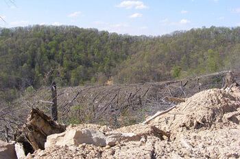View of Robinson Forest from a strip mine on its south-southeast border, Robinson Forest, Kentucky, 2009. Photograph courtesy of Kentucky Heartwood.