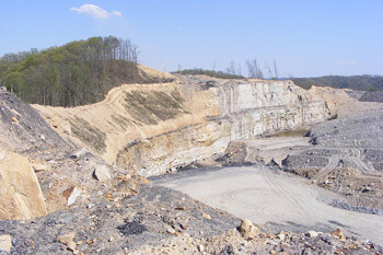 Strip mine on the south-southeast border of Robinson Forest, Kentucky, 2009. Photograph courtesy of Kentucky Heartwood.