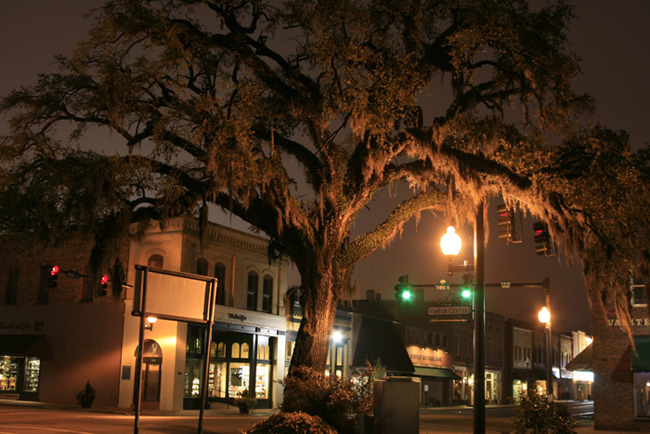 Tyler Farwell, Old oak, Conway, South Carolina, 2008.