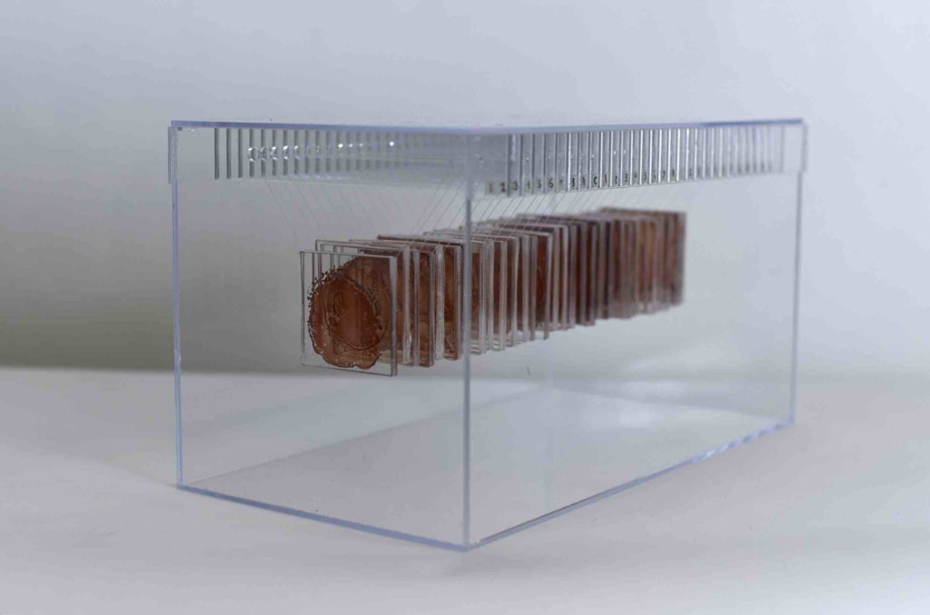 Better Blood, Florida, 2016