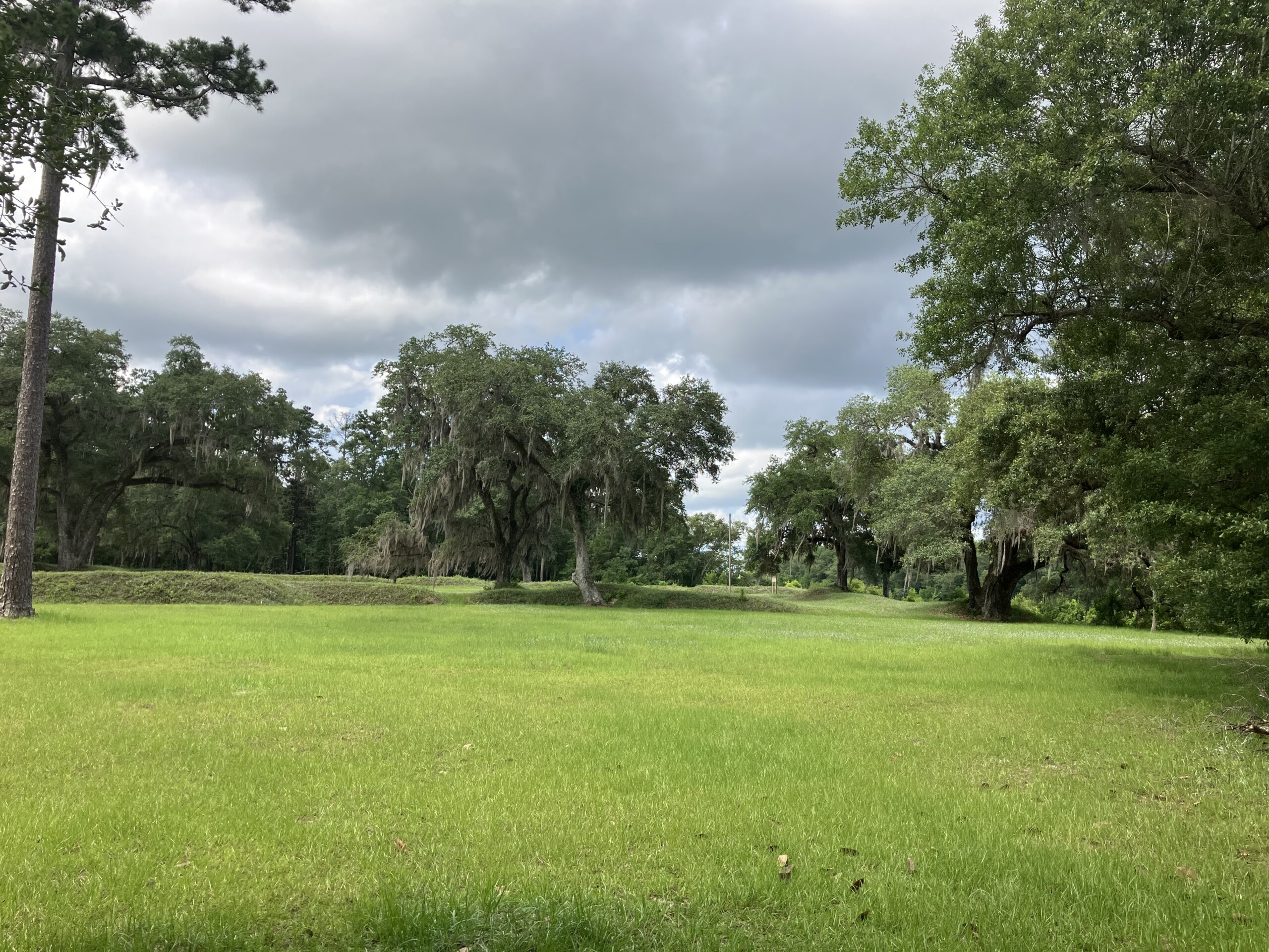 Wide expanse of grass, trees, clouds with earthworks in rear.
