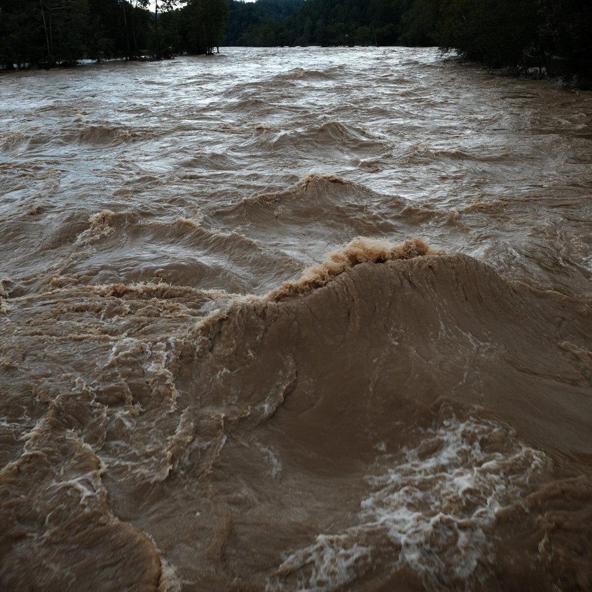 French Broad River in flood.