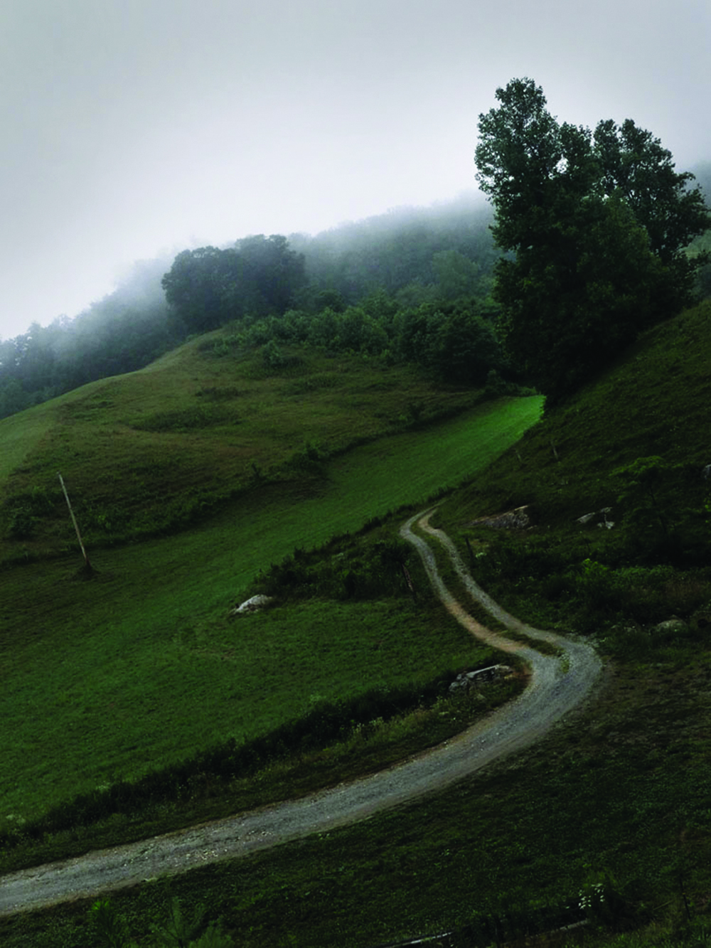 Dirt road going up a misty mountain.
